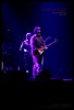 img_8740_zzangddoly.jpg?