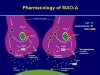 현대 정신과 의학의 맹점 - 우울증 조울증 & 자살로 이어지는 항우울제 약 처방의 부작용에 대한 최근 연구논문 : 네이버 블로그