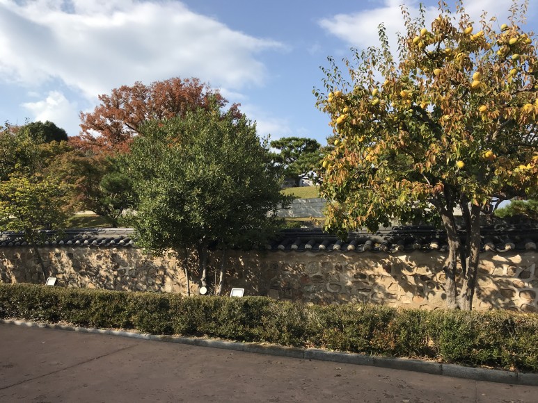 119여행사 이미지