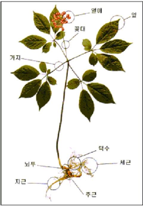 %BB%EA%BB%EF%B1%D7%B8%B2_1-n460330.jpg?type=w2