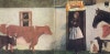 vashti bunyan