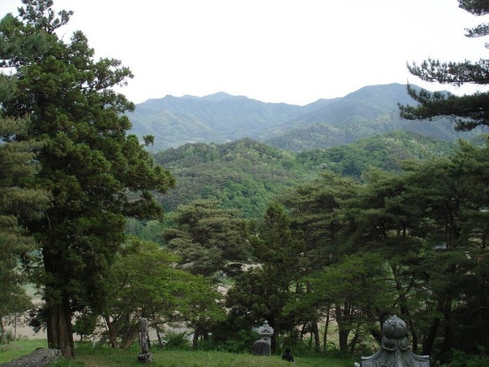 result_2008_4_1_21_29_2_78_36-tklim1.jpg?type=w3