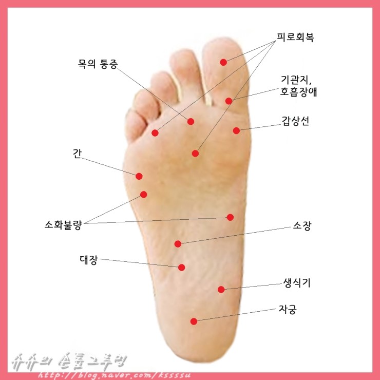 발 지압점과 발 마사지 : 네이버 블로그